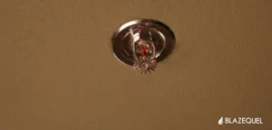 Fire-Sprinkler-Systems-1
