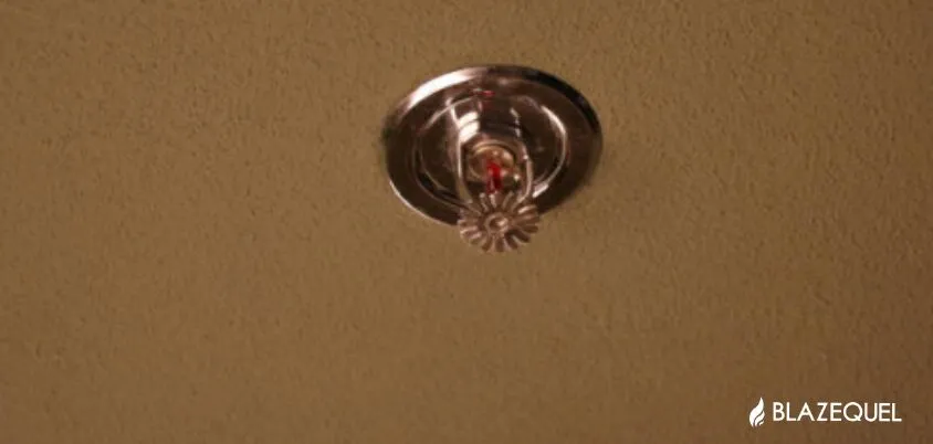 Fire-Sprinkler-Systems-1